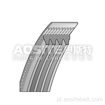 Cinturão-v-ribbed para homem TGA